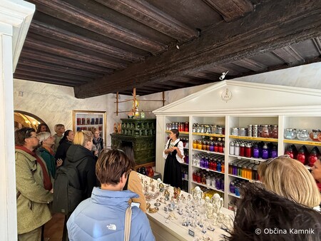 Srečanje združenja zgodovinskih mest v Kamniku  (3)